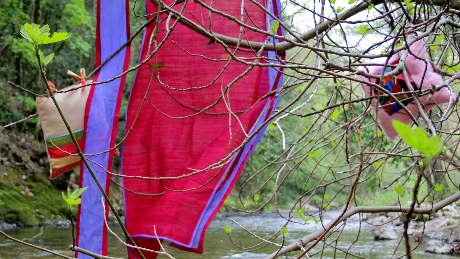 Kj rouge tibet – Image 4