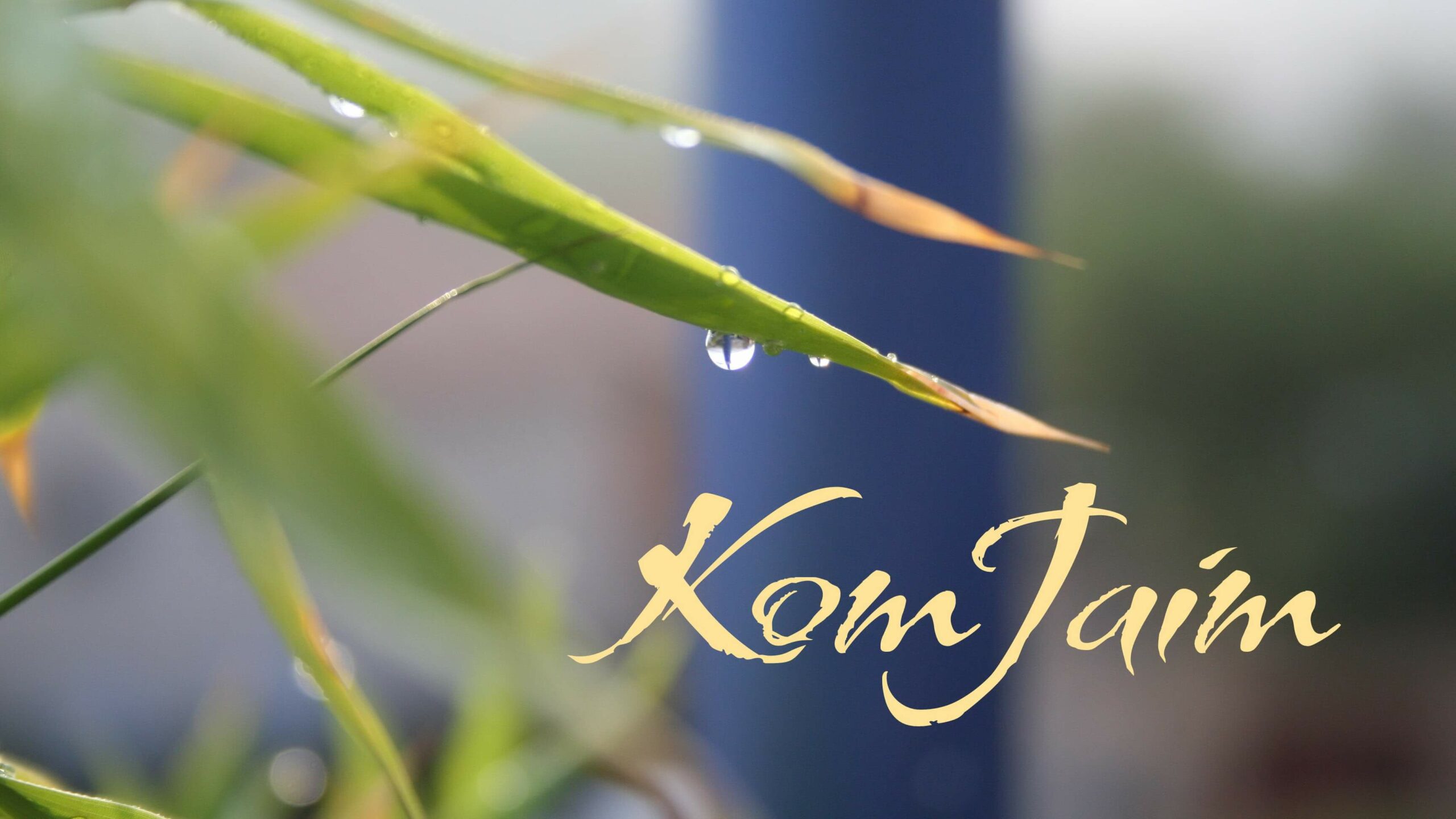 Naissance de KomJaim