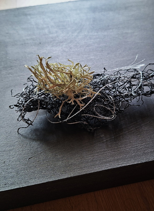 Présence – Image 3